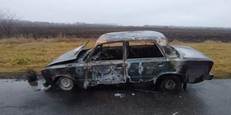 В Шацком районе сгорела легковушка