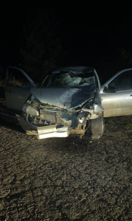 В Кадомском районе пьяный водитель насмерть сбил 11-летнюю девочку и ее отца