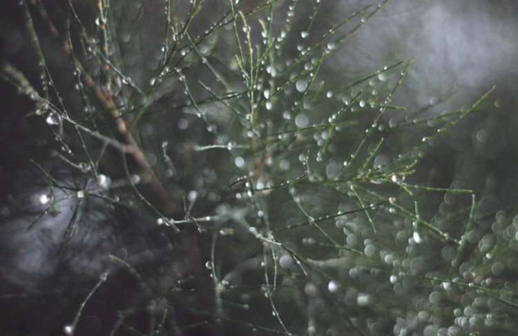 Метеоролог Михаил Леус дал прогноз на текущую неделю в Центральной России