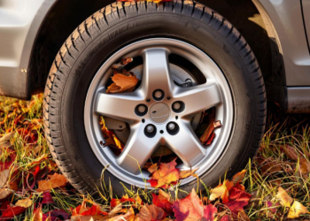 С начала 2025 года в Рязани за парковку на газоне оштрафовали 11 591 водителя С начала 2025 года в Рязани за парковку на газоне оштрафовали 11 591 водителя