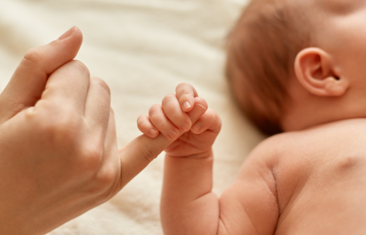 В ноябре в Рязани на свет появились Елисей, Филипп, Купава и Мика