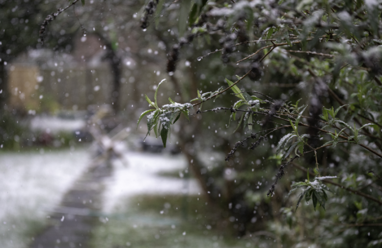 В четверг в Рязанской области ожидается мокрый снег и до +3 градусов
