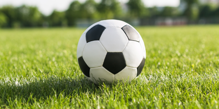 В Рязанском регионе появилась футбольная академия