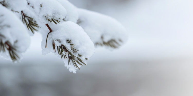 Синоптик Тишковец рассказал, когда в Центральную Россию придет потепление