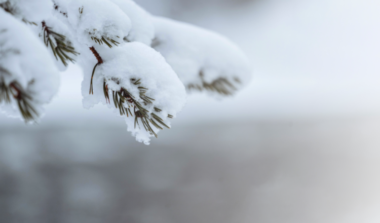 Синоптик Тишковец рассказал, когда в Центральную Россию придет потепление