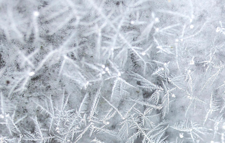 Тишковец: снег и морозы вернутся в Центральную Россию в предновогоднюю неделю