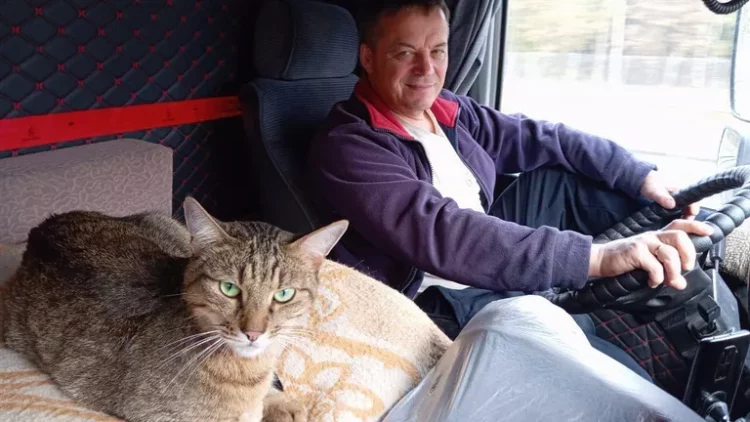 Потерявшийся во время поездки в поезде кот Федос благополучно возвращен домой