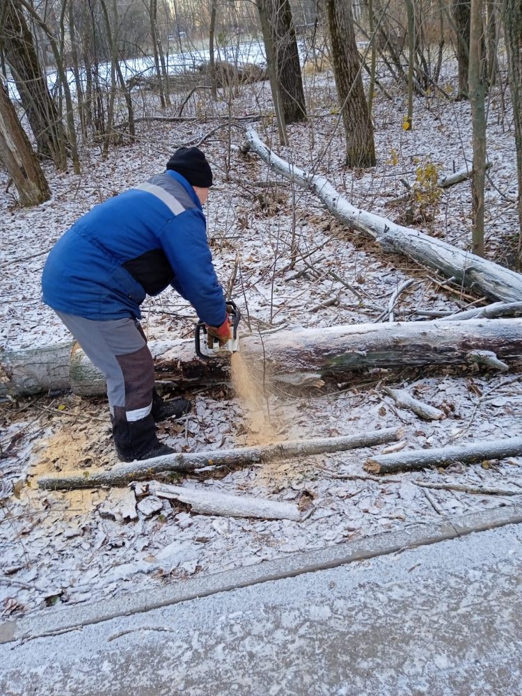 Из рязанского Мемориального парка Славы Дальней Авиации вывезли спиленные деревья