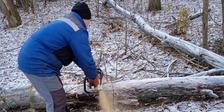 Из рязанского Мемориального парка Славы Дальней Авиации вывезли спиленные деревья Из рязанского Мемориального парка Славы Дальней Авиации вывезли спиленные деревья