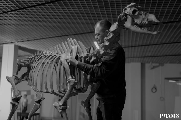 РИАМЗ поделился снимками подготовки к открытию в здании на Соборной