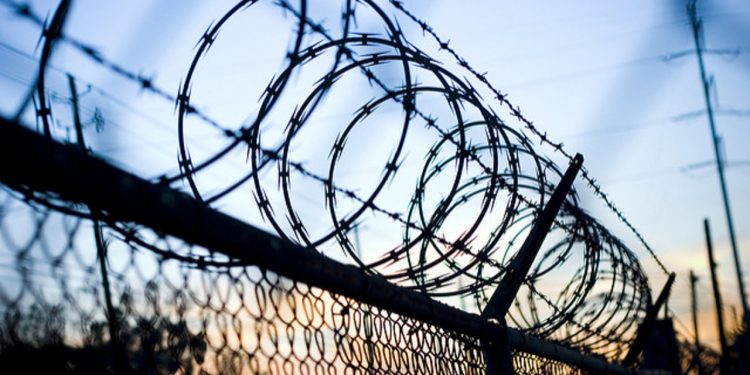 Сын бывшего вице-губернатор Рязанского региона Никита Филимонов готовит документы на УДО