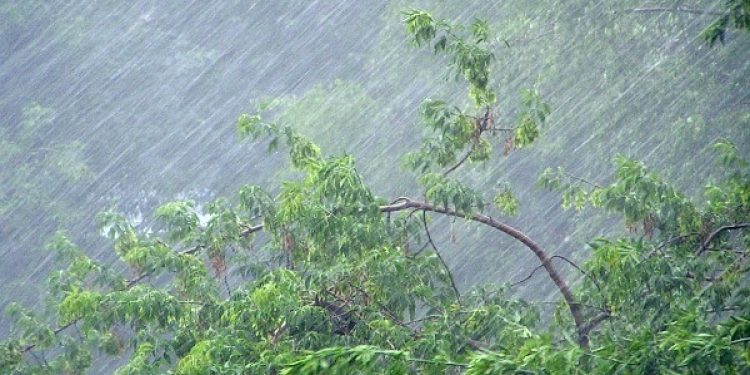 Рязанцев предупредили о ливнях и граде 9 августа