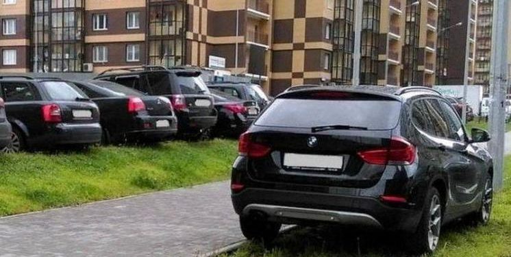 С начала 2025 года в Рязани оштрафовали 1032 водителя, парковавшихся на газонах С начала 2025 года в Рязани оштрафовали 1032 водителя, парковавшихся на газонах