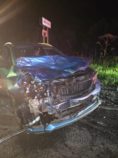 В ДТП в Старожиловском районе погибли два водителя