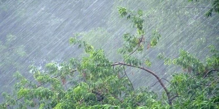 Для рязанцев выпустили метеопредупреждение из-за ливней 27 августа Для рязанцев выпустили метеопредупреждение из-за ливней 27 августа