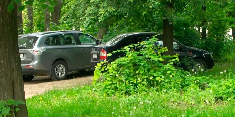 С начала 2024 года 417 водителям выписаны штрафы за парковку в зеленой зоне С начала 2024 года 417 водителям выписаны штрафы за парковку в зеленой зоне