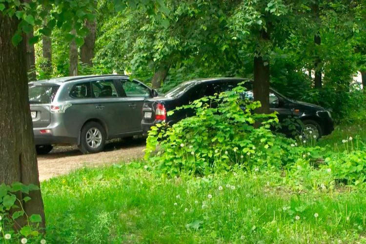 С начала 2024 года 417 водителям выписаны штрафы за парковку в зеленой зоне