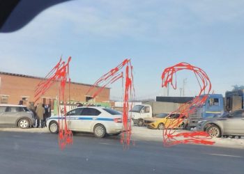 После стрельбы в Рыбновском районе возобновили движение по трассе М-5