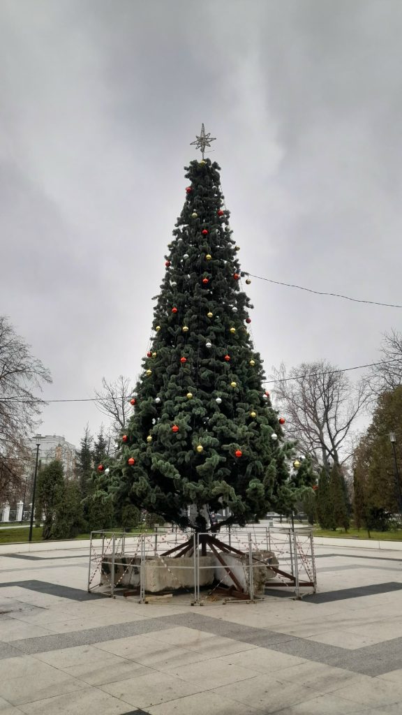 В рязанском Верхнем горпарке продолжают украшать собранную к Новому году ель
