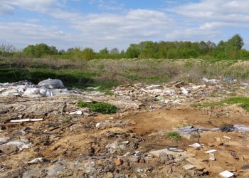 В Спасском районе нашли несанкционированную свалку на площади 4600 квадратных метров