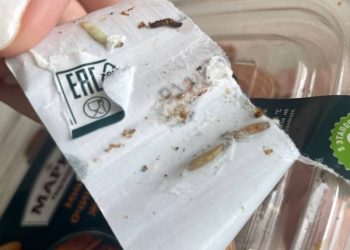 Рязанцы ужаснулись личинкам, найденным в упаковке миндаля