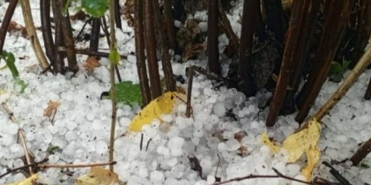 Скопинский район накрыло градом