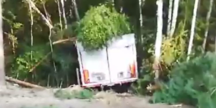 В Касимовском районе фура улетела в кювет и «протаранила» лесополосу