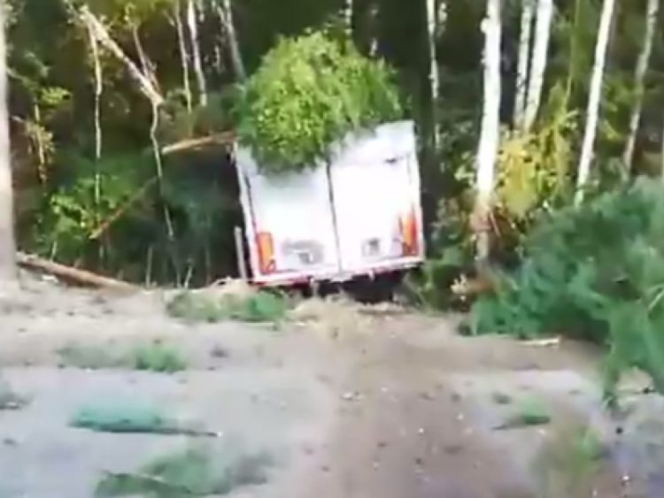 В Касимовском районе фура улетела в кювет и "протаранила" лесополосу