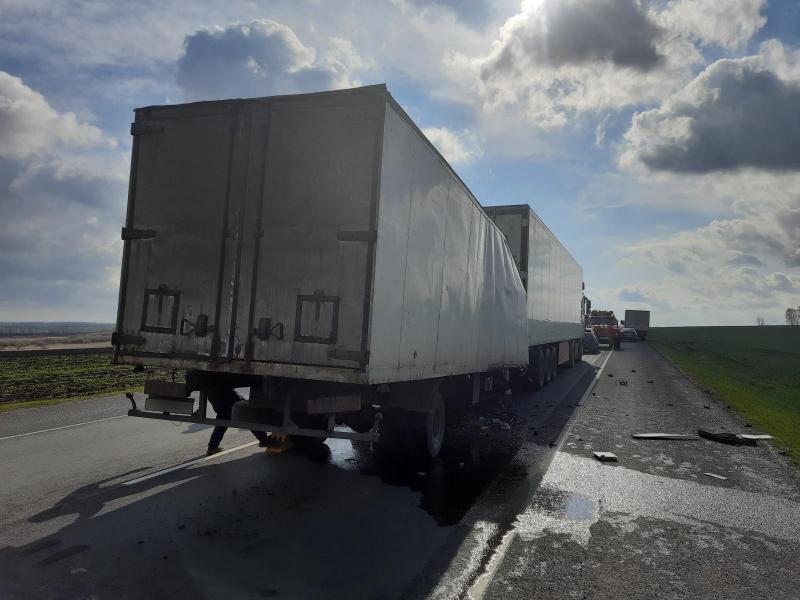 В ДТП в Михайловском районе погиб 35-летний водитель грузовика