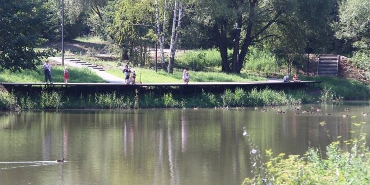 Малков потребовал как можно скорее завершить благоустройство рязанских Черезовских прудов