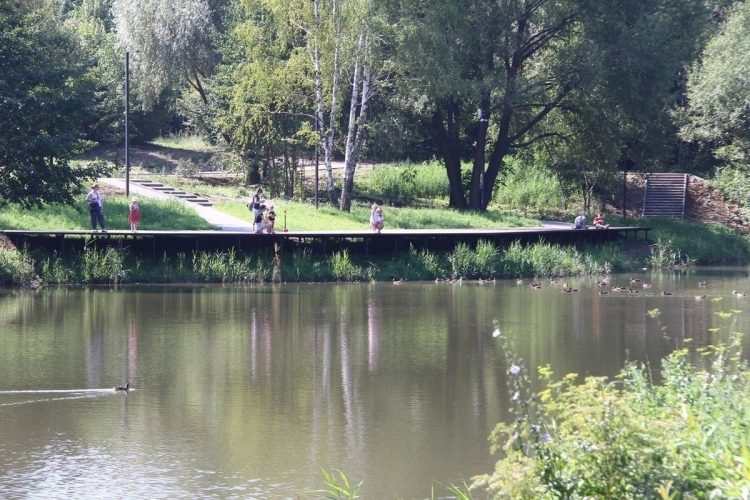 Малков потребовал как можно скорее завершить благоустройство рязанских Черезовских прудов