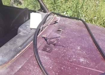 В Пронском районе трое подростков разбили припаркованную машину