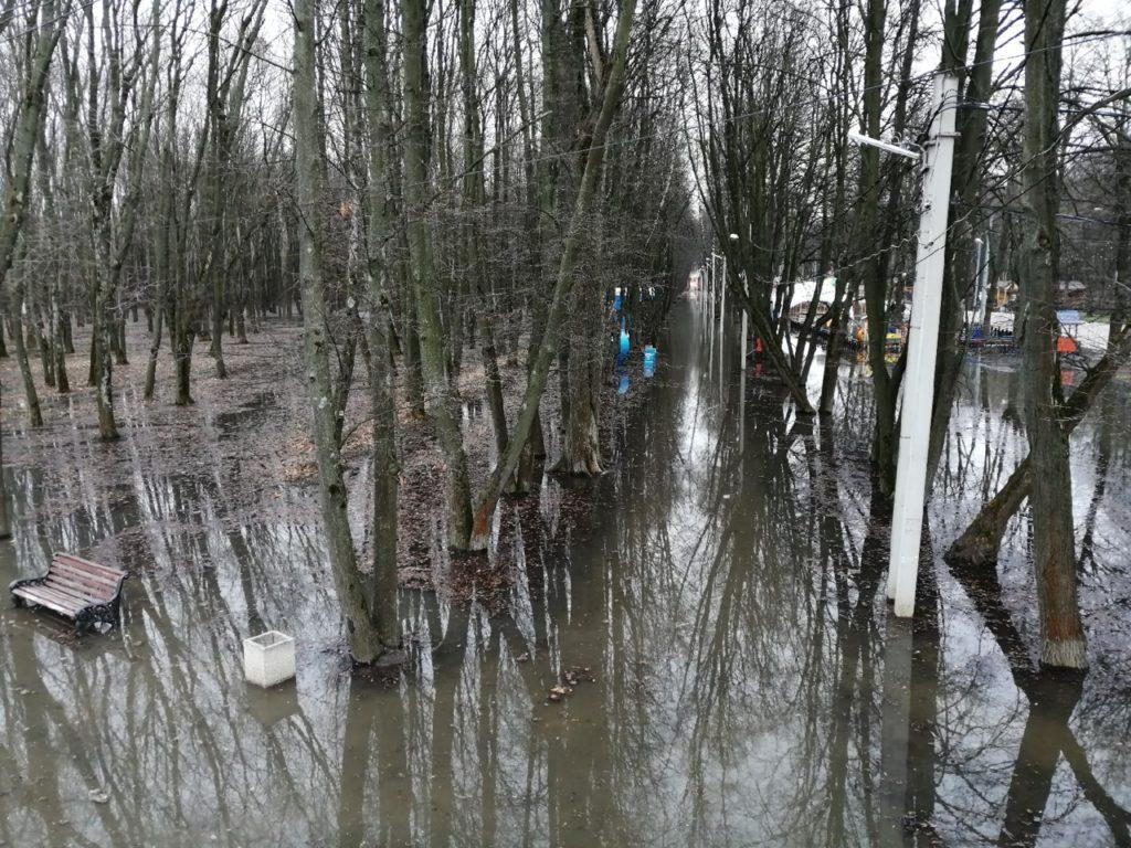 В Сети появились снимки затопленного рязанского Лесопарка