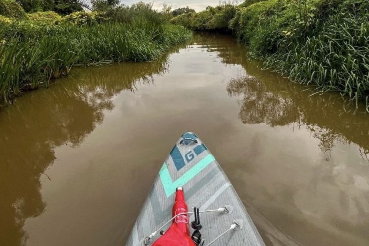 Рязанцы нашли место слива нечистот в реку Солотча