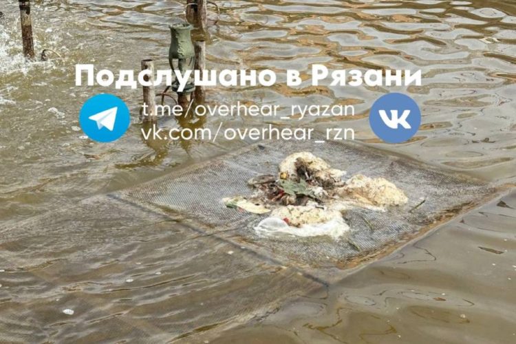 Рязанцы возмутились ужасным состоянием фонтана площади Победы