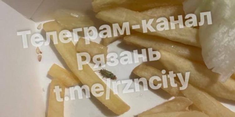 Рязанец обнаружил в порции картофеля фри таракана