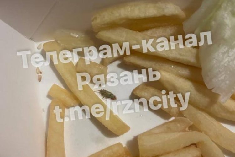 Рязанец обнаружил в порции картофеля фри таракана