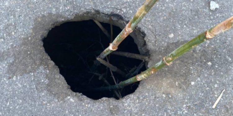 В центре Рязани на пешеходной улице образовалась яма