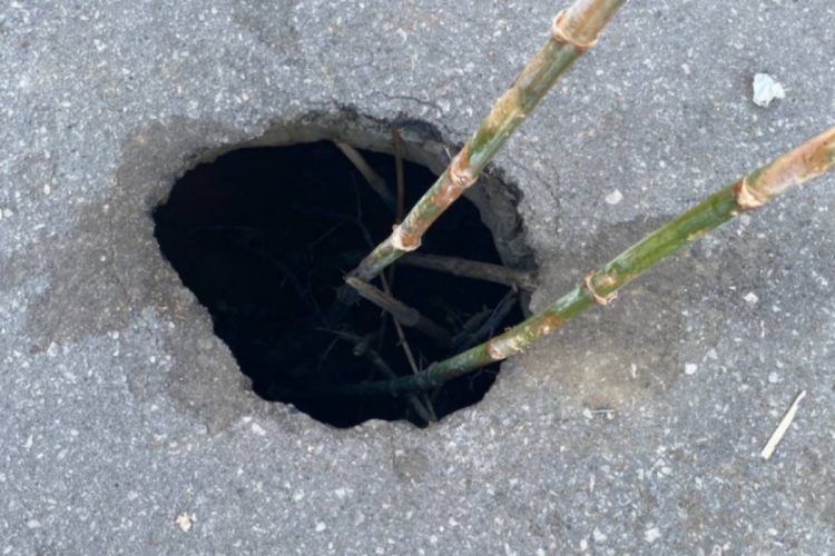 В центре Рязани на пешеходной улице образовалась яма