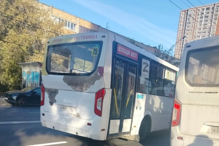 Рязанка назвала поездку в маршрутке №75 экстремальной