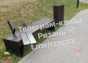 В Рязани вандалы сломали лавочки в парке у пруда Серая шейка
