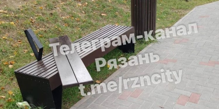 В Рязани вандалы сломали лавочки в парке у пруда Серая шейка