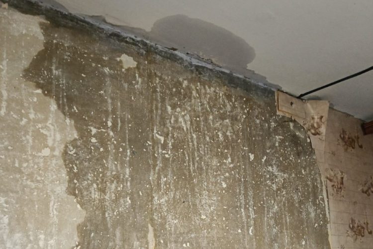 Рязанцев возмутил ремонт крыши дома в непогоду