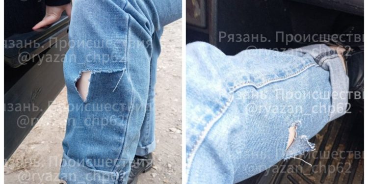 В рязанском Шацке девушку на местную жительницу напали три бездомные собаки