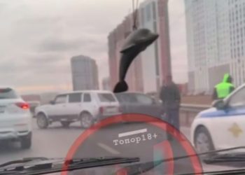 На Северной окружной 24 октября столкнулись три автомобиля