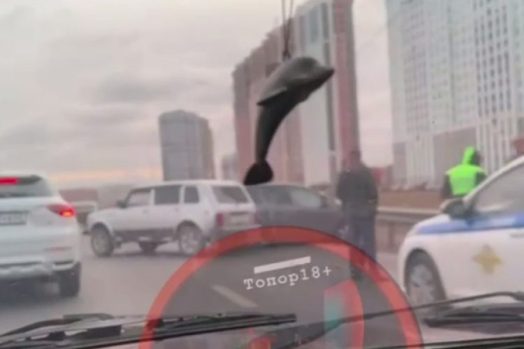 На Северной окружной 24 октября столкнулись три автомобиля