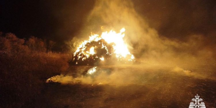 В Кораблинском районе произошел пожар площадью 200 квадратных метров