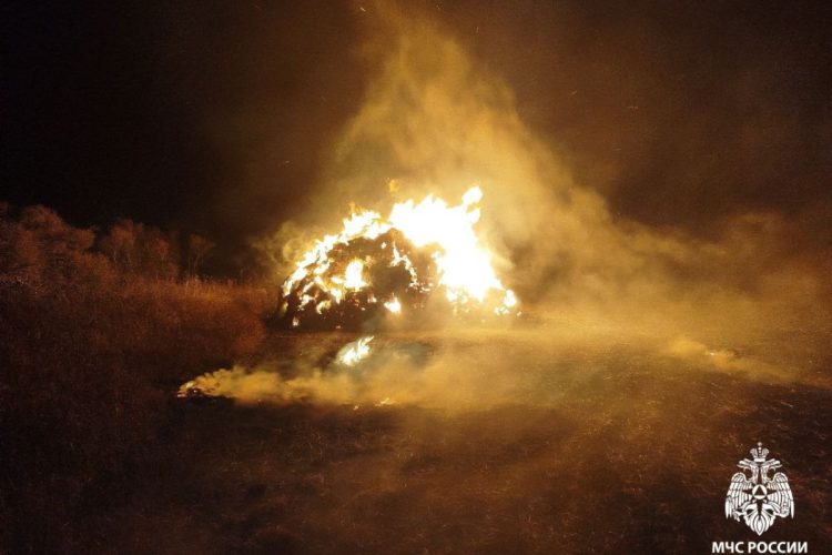 В Кораблинском районе произошел пожар площадью 200 квадратных метров