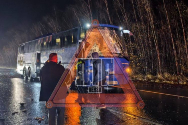 В Рязанском регионе произошло двойное ДТП с пассажирскими автобусами