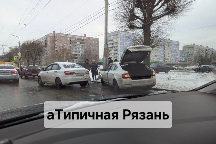 На улице Молодцова водитель на Skoda врезался в столб